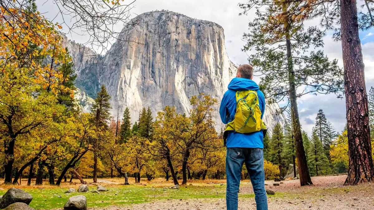 Mini-coach day trip on a Yosemite tour from San Francisco, California